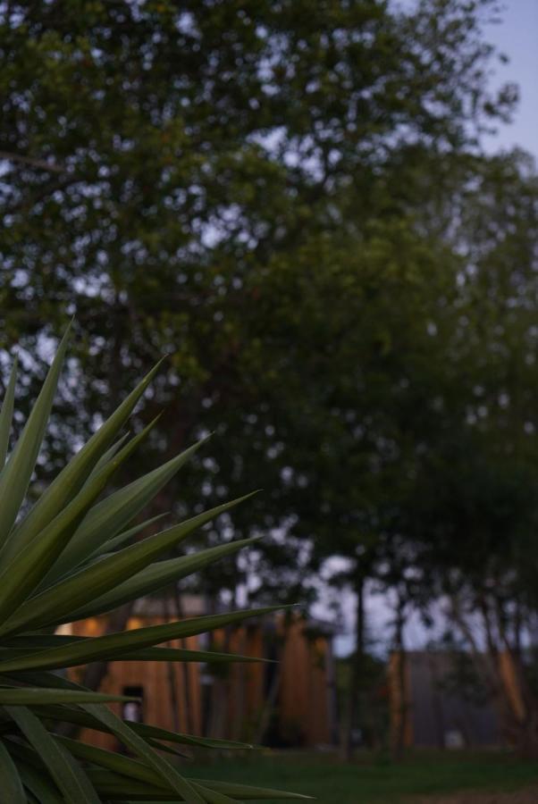 Vila Salinas Nest - Ulcinj Stoj Ada Bojana Exteriér fotografie